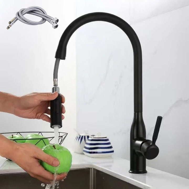 AquaStream Luxe – Adjustable Kitchen Faucet with Hand Shower Bowlift