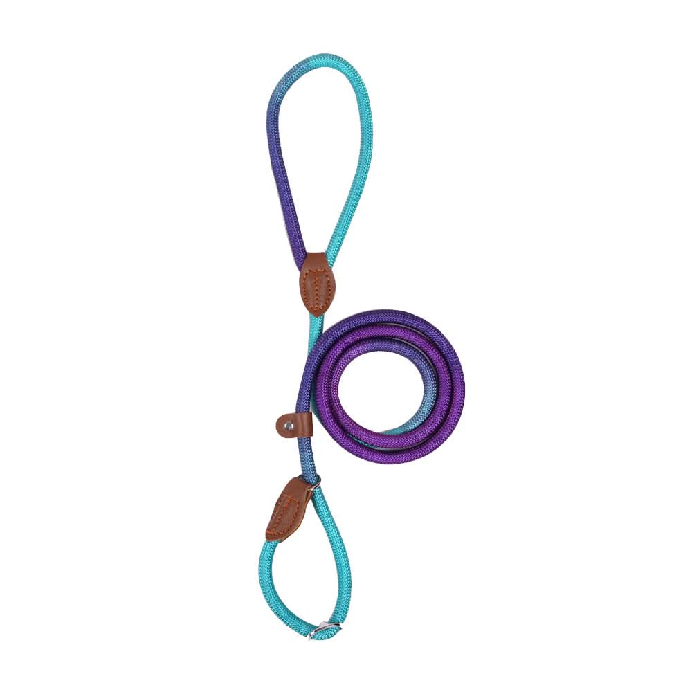 BowLift | Colorful Dog Leash for Stylish Walks