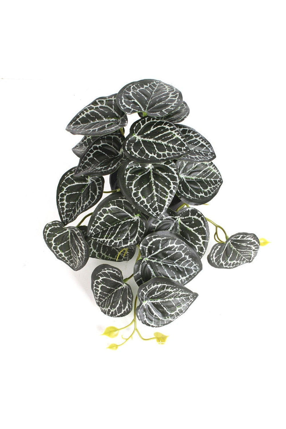 green grapevine wall decoration | Bowlift