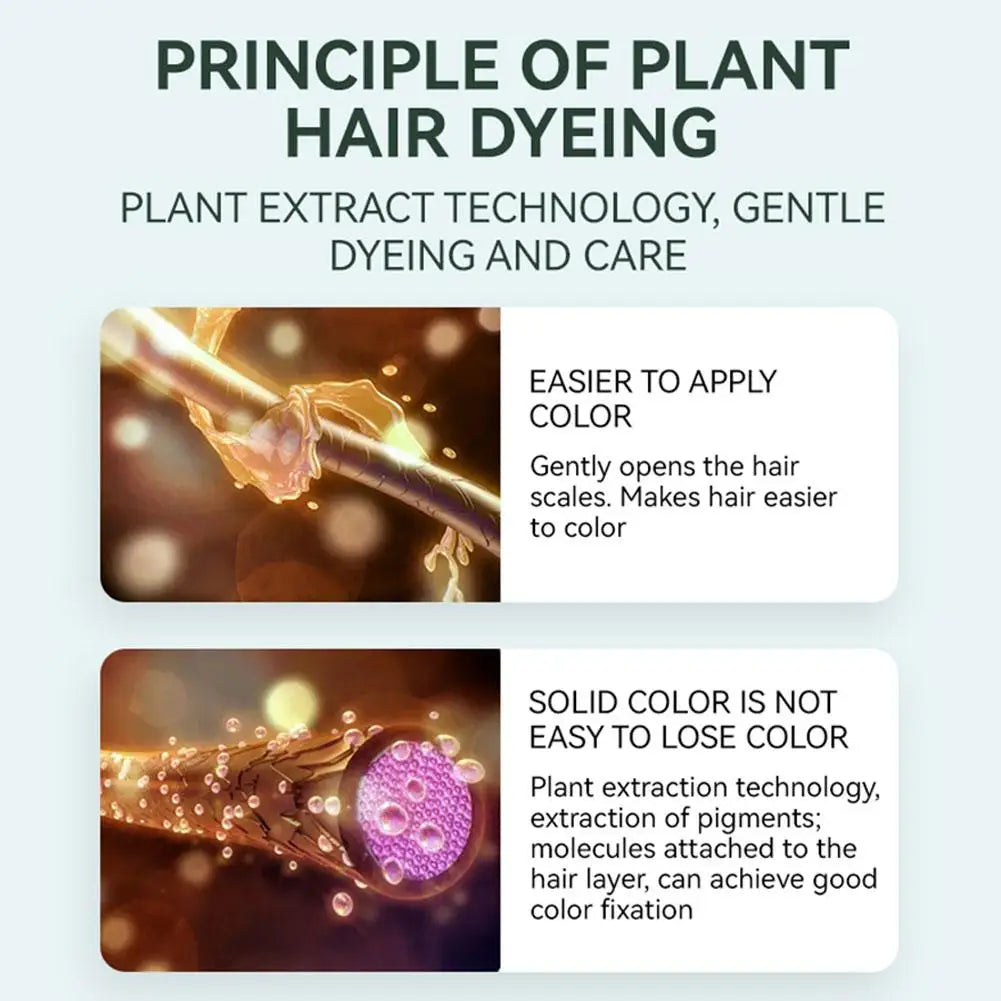 BowLift | Hair Dye Cream With Comb