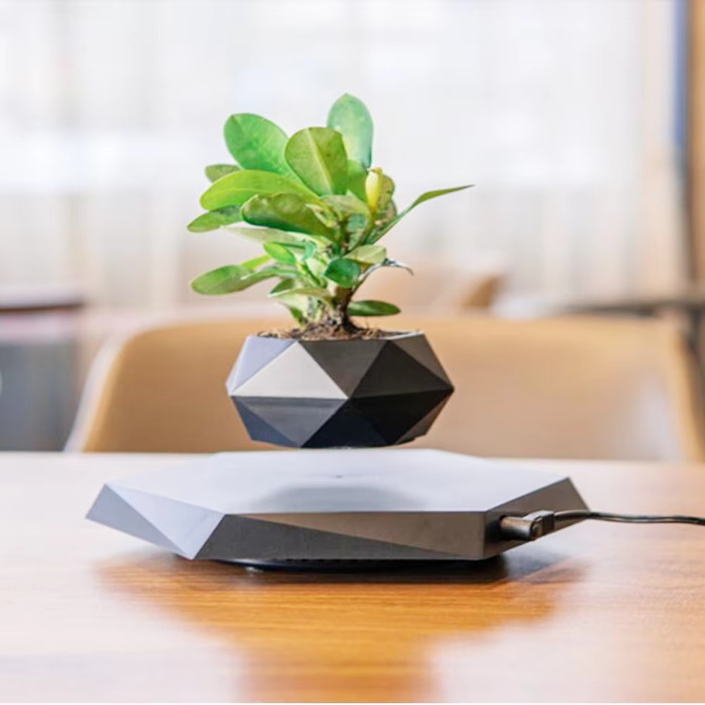 BowLift | Levitating Plant Pot – Magnetic Floating Planter