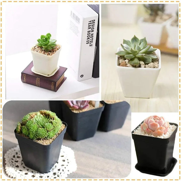 BowLift | Bloomigo Mini Flower Pot Set | Bright Colors | Weatherproof & Ventilated | For Balcony & Indoor
