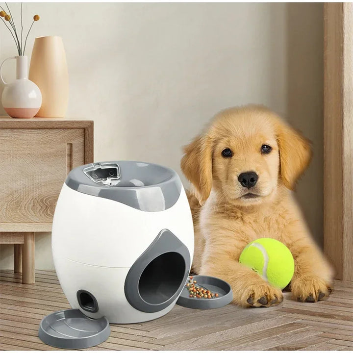 Interactive Snack Ball Dispenser for Dogs Bowlift