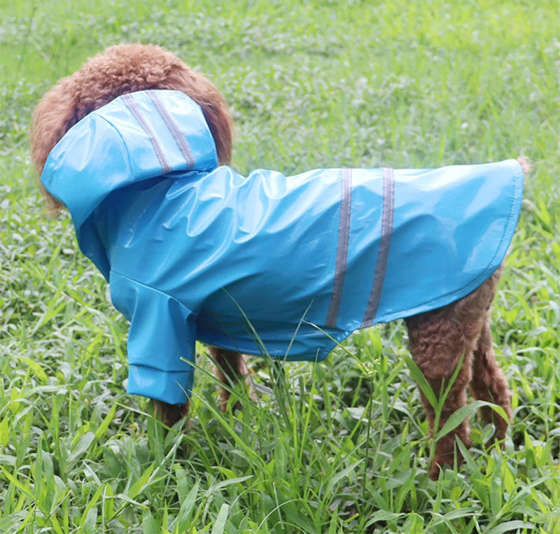 PupShield • Reflective Raincoat