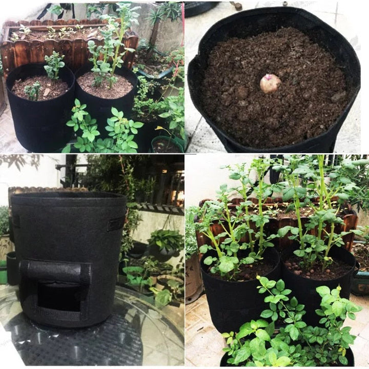 GrowMaster Pots – Stylish Grow Pot for Vegetables Bowlift