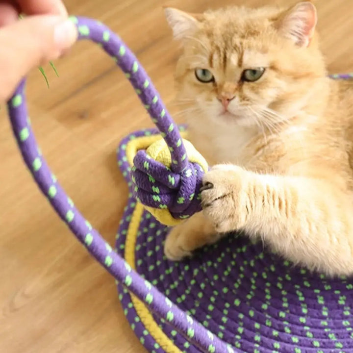 2-in-1 Cat Scratching Carpet & Play Mat Bowlift