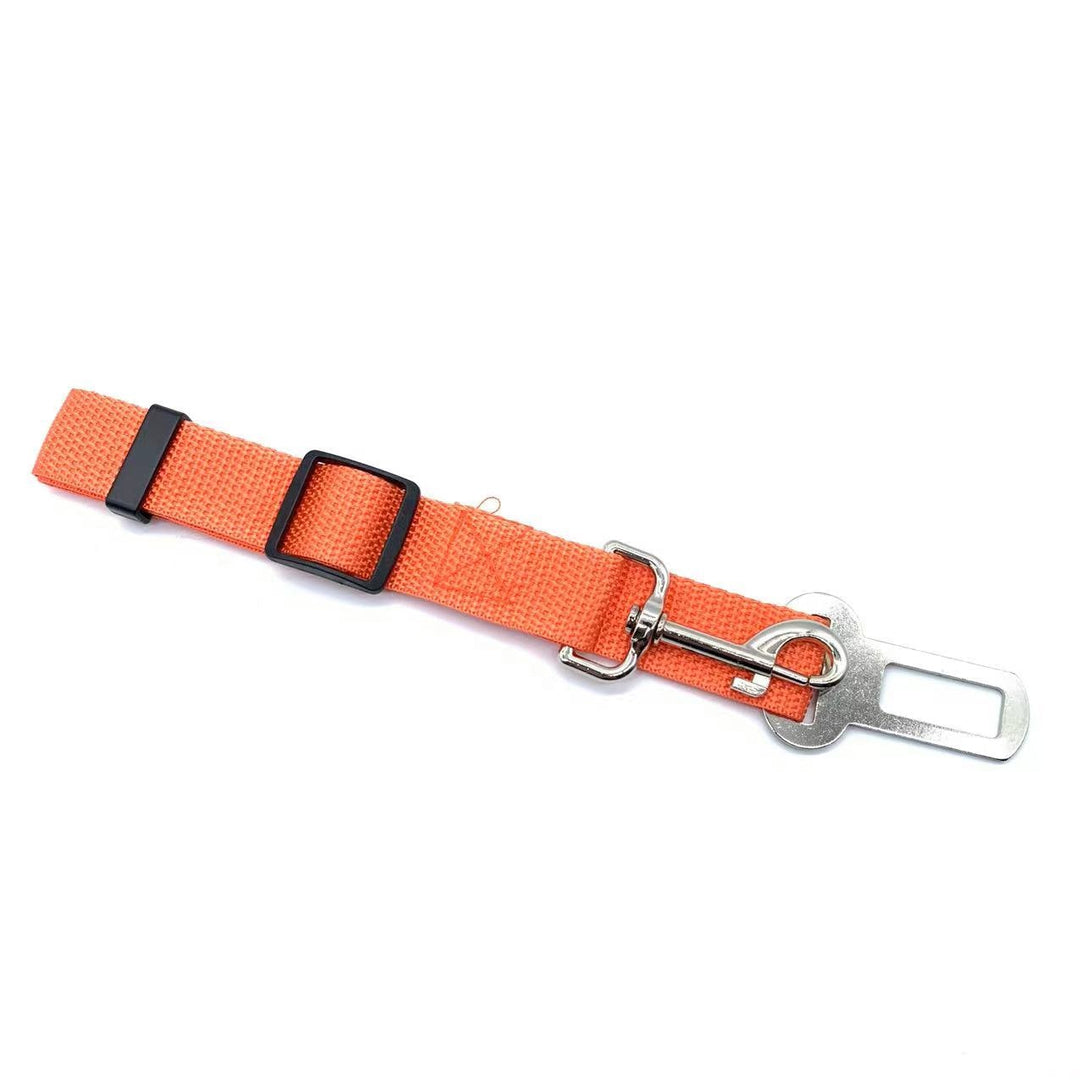 Safety seatbelt for Pets Bowlift