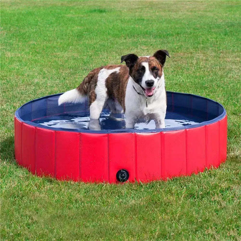 Foldable PVC Dog Pool with Drainage Valve Bowlift
