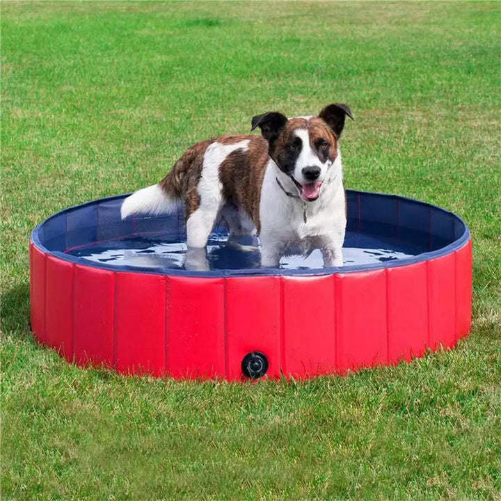 Foldable PVC Dog Pool with Drainage Valve Bowlift