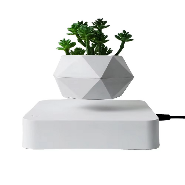 BowLift | Magnetic Levitating Bonsai Planter, Floating Flower Pot for Home and Office Décor