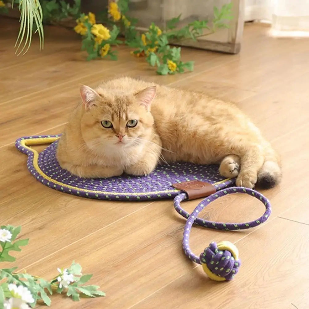 2-in-1 Cat Scratching Carpet & Play Mat Bowlift