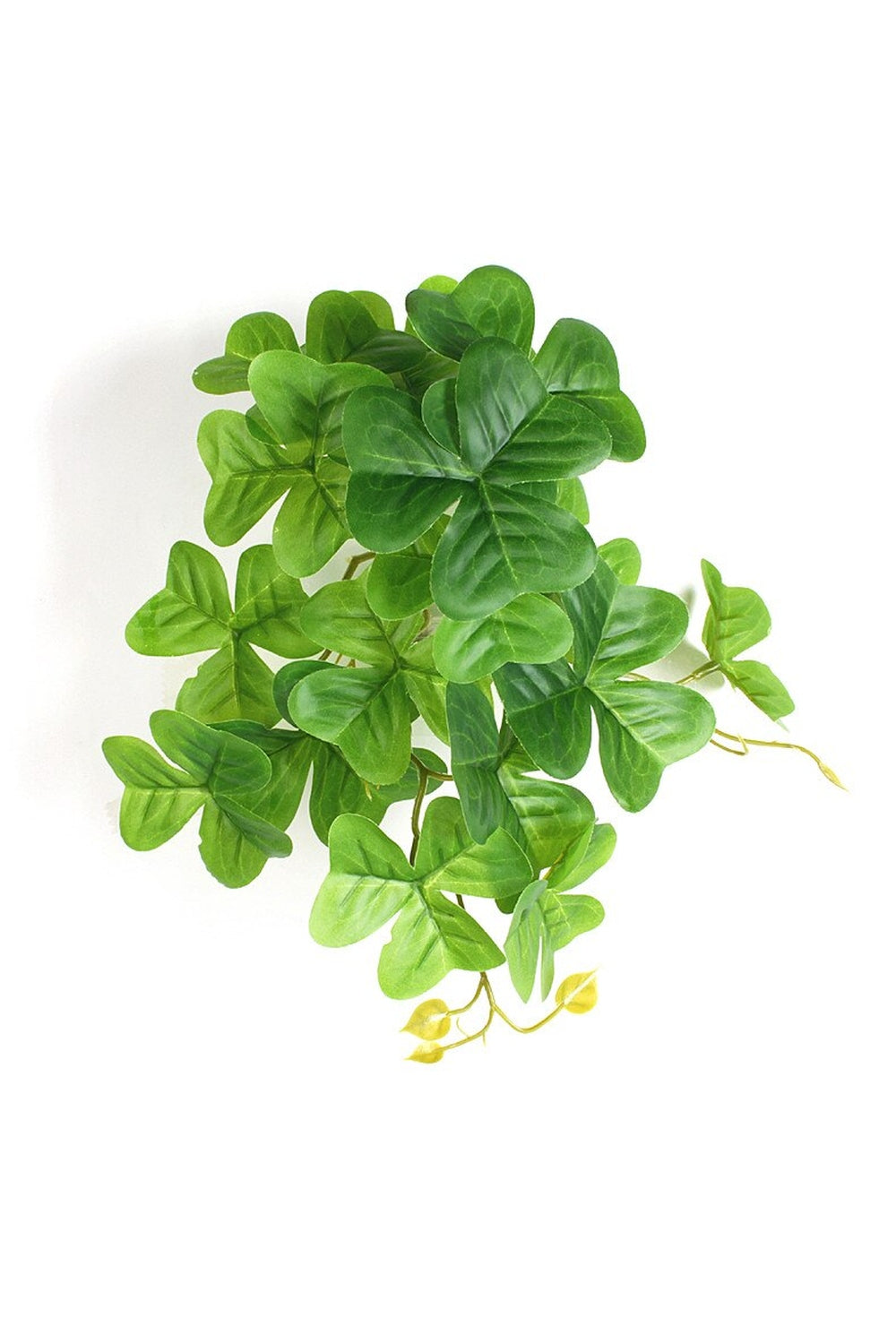 green grapevine wall decoration | Bowlift