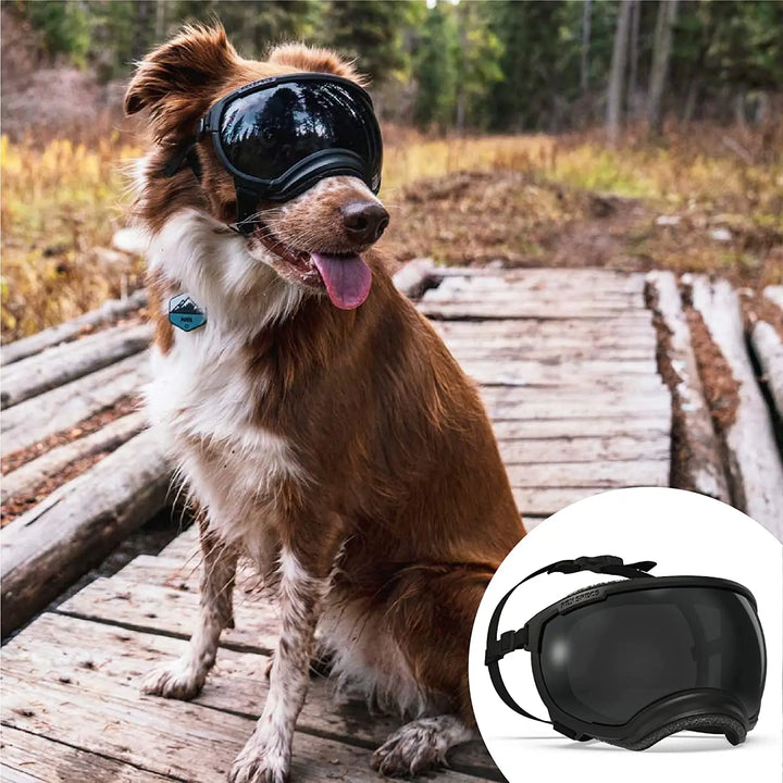 Dog sunglasses with UV protection windproof adjustable Bowlift