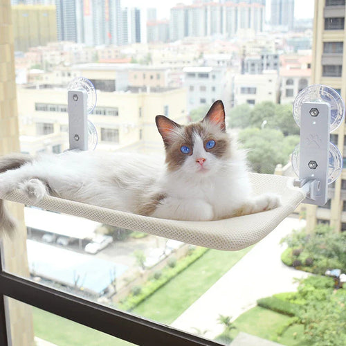 Wall-Mounted Cat Lounge - SkyRest Bowlift