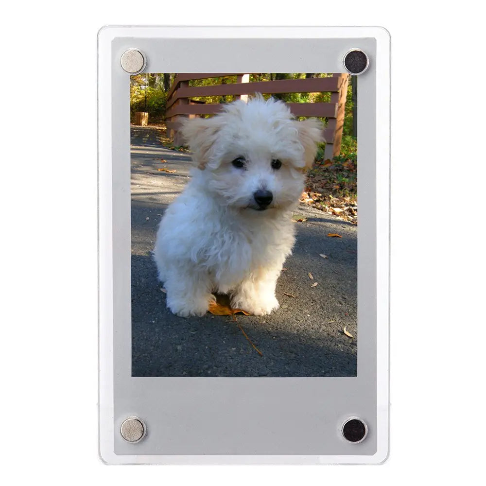BowLift | Magnetic Acrylic Photo Frame 5 Piece Set