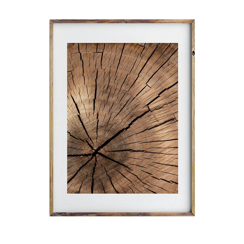 Natural Wood Tree Rings Wall Art Posters Fine Art Canvas Prints Pictures For Modern Farmhouse Living Room Scandinavian Style Home Decor | Bowlift