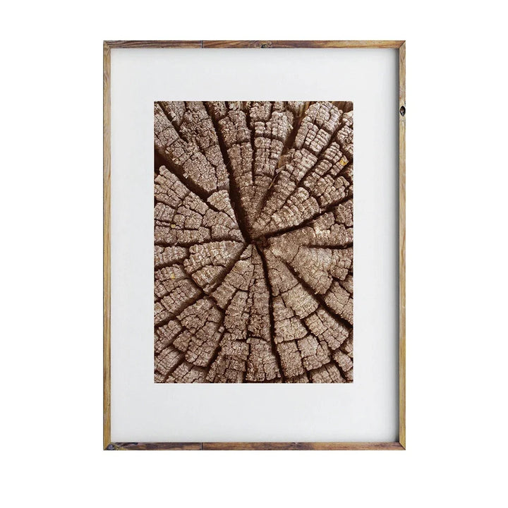 Natural Wood Tree Rings Wall Art Posters Fine Art Canvas Prints Pictures For Modern Farmhouse Living Room Scandinavian Style Home Decor | Bowlift