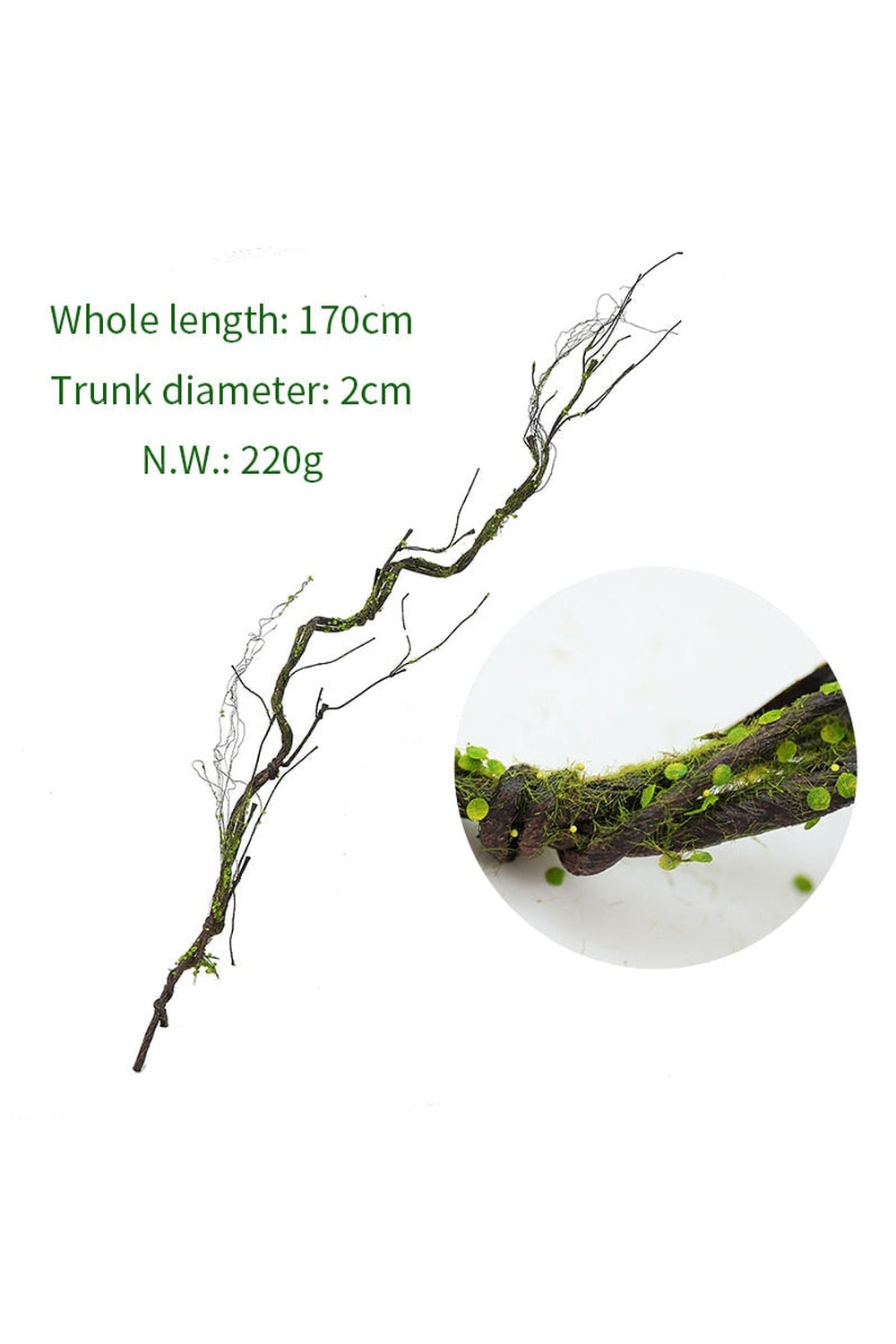 Tree branch grapes decor | Bowlift