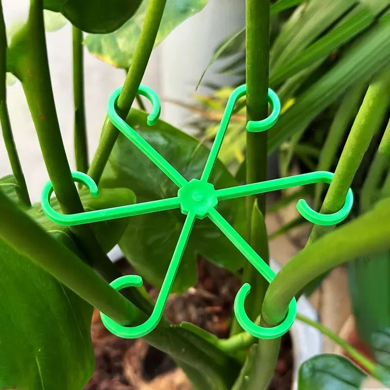 BowLift | Plant Stem Support Frame