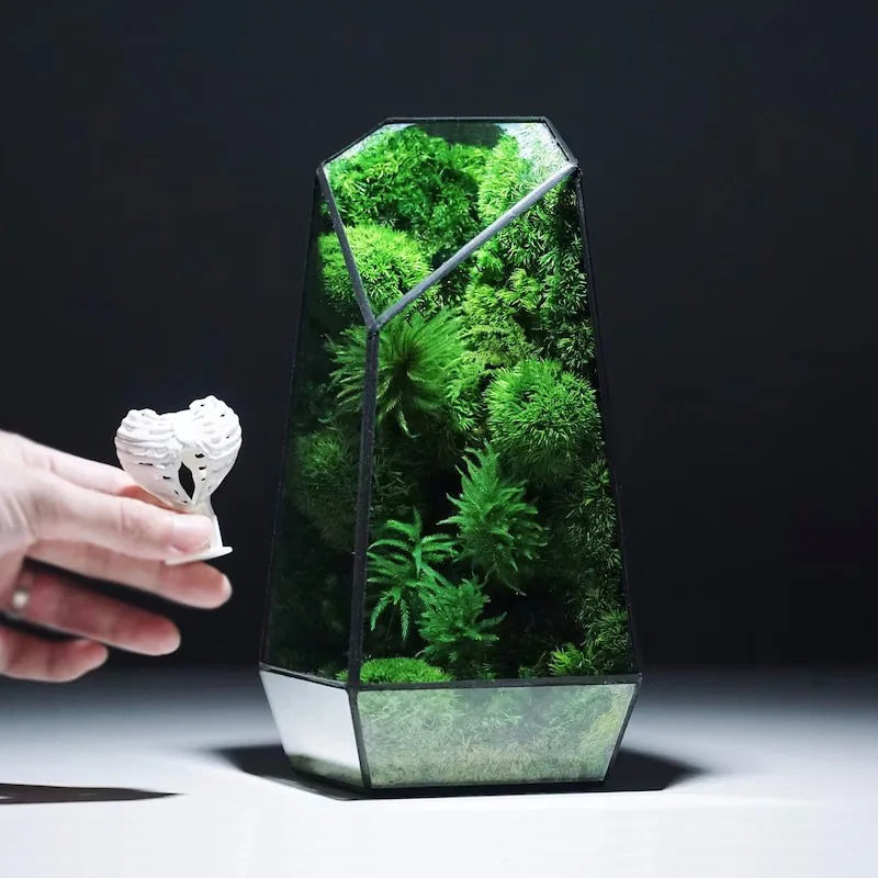 Modern Geometric Nature-Inspired Botanical Terrarium | Bowlift