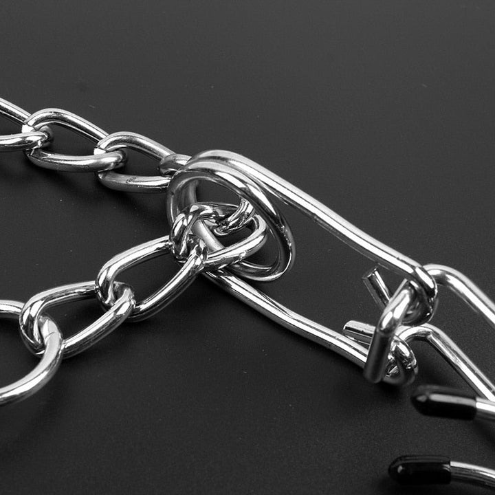 BowLift | Dog Pincher Collar - Stylish B