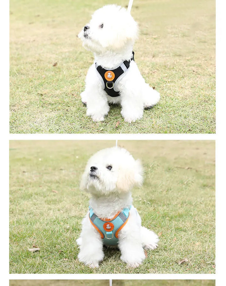 Breathable dog harness adjustable & comfortable Bowlift