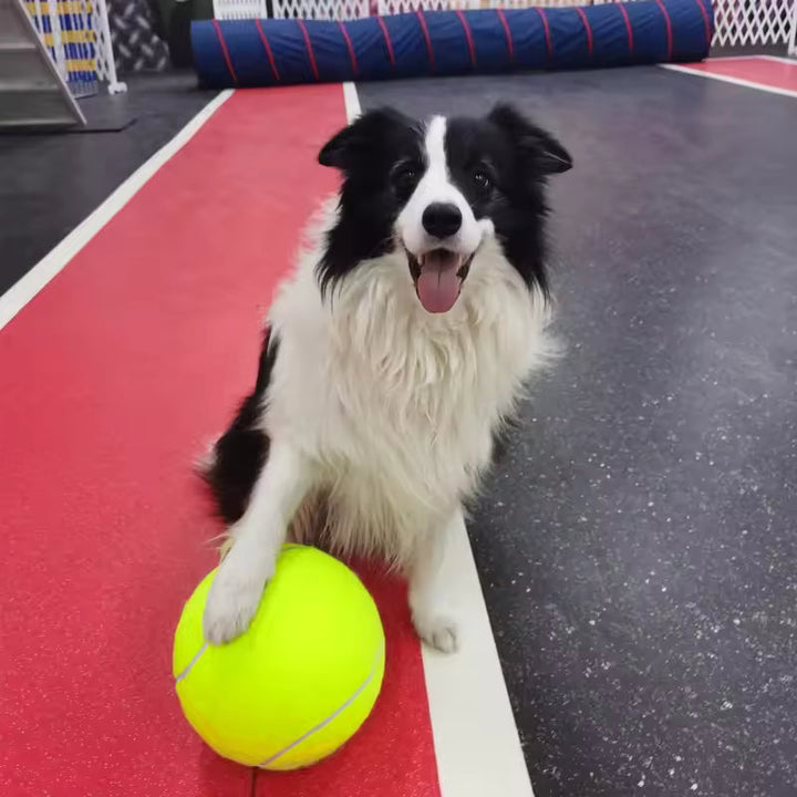Extra large tennis ball for dogs Bowlift