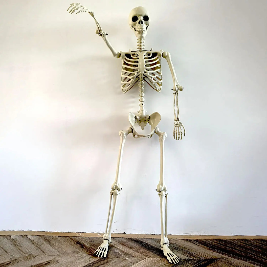 BowLift | Movable human skeleton 90–165 cm — realistic decoration for Halloween and horror parties