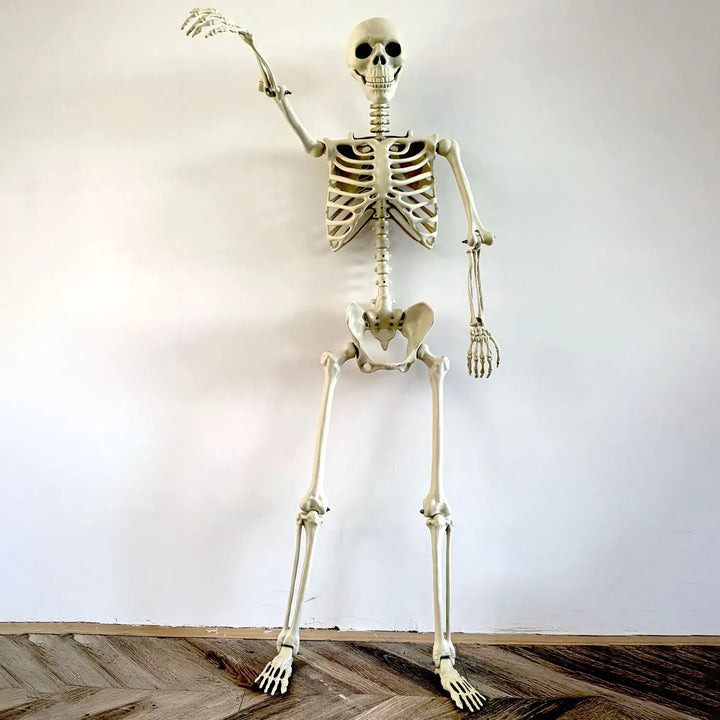 BowLift | Movable human skeleton 90–165 cm — realistic decoration for Halloween and horror parties