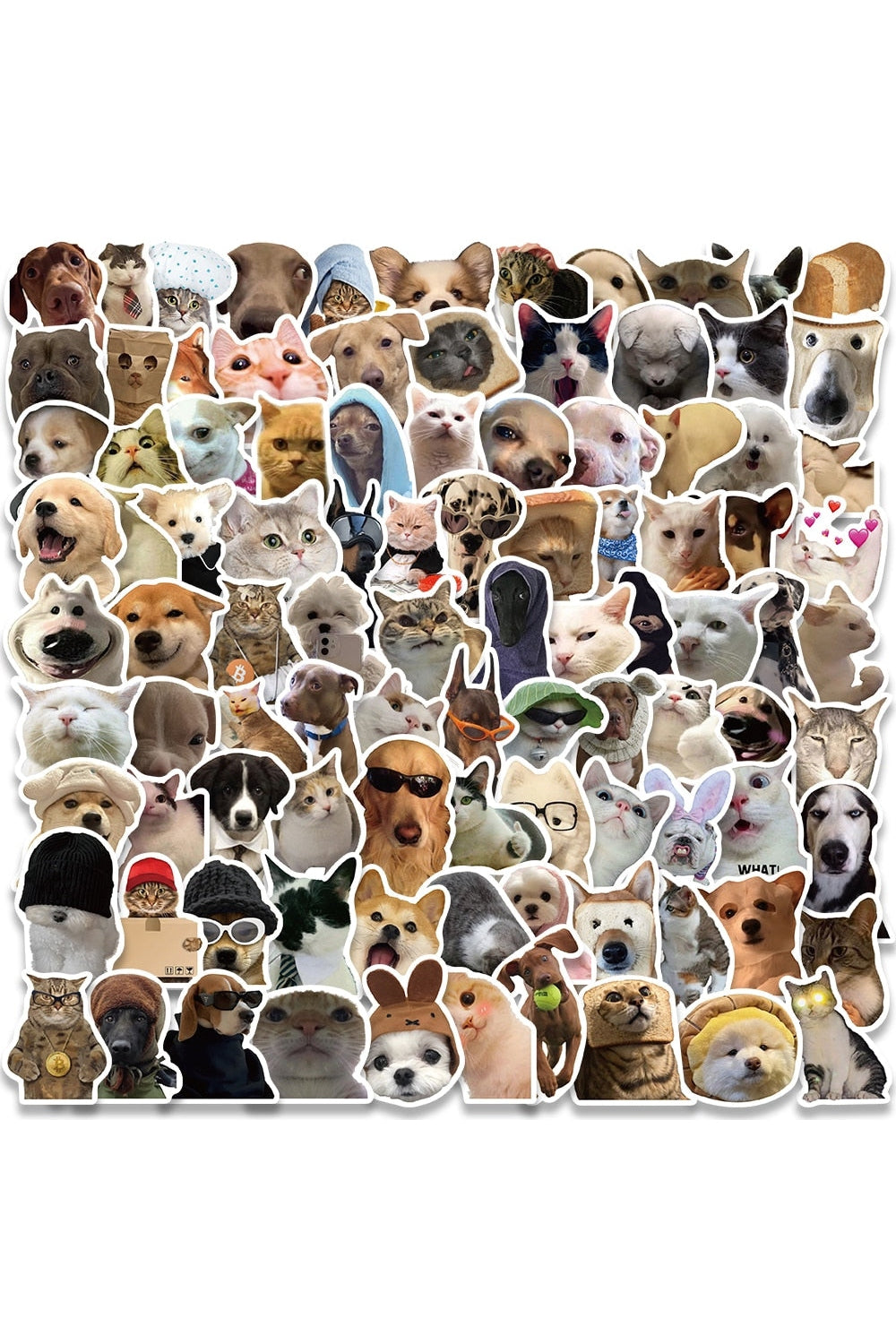 Cat Meme Funny Stickers 10/30/50/100 Pieces | Bowlift