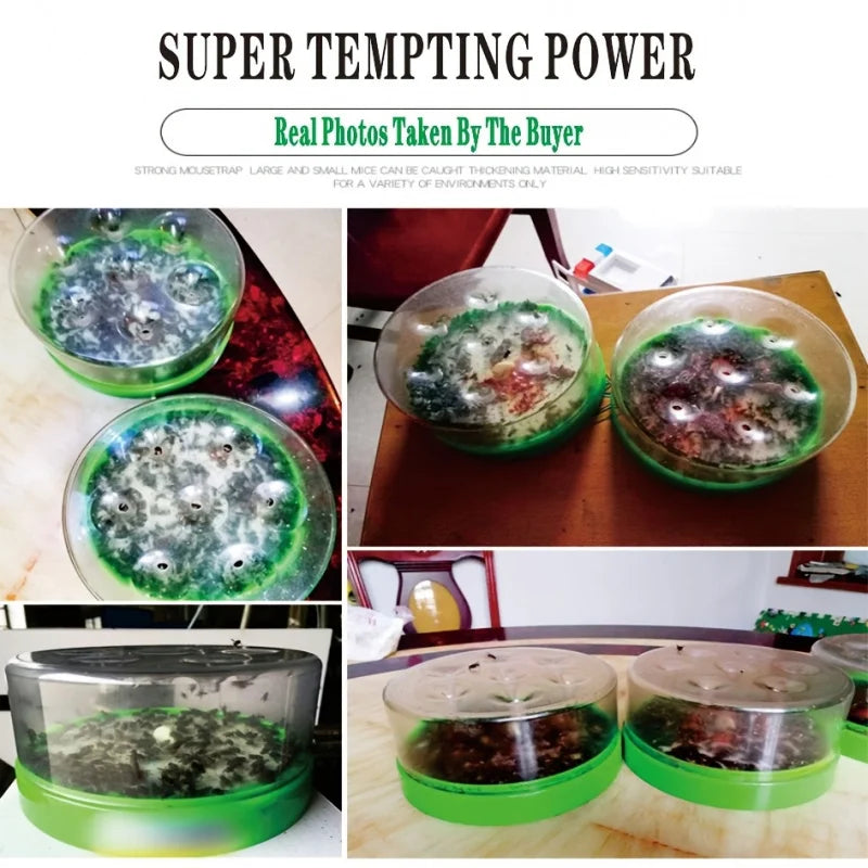 BowLift | Fly Trap EcoTrap 7 | Reusable & Non-toxic | Without Electricity & Chemicals | With 7 Entrances for Effective Fly Control