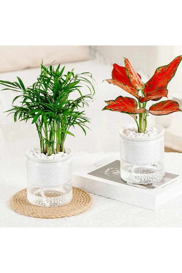 Self-watering flower pot | Bowlift