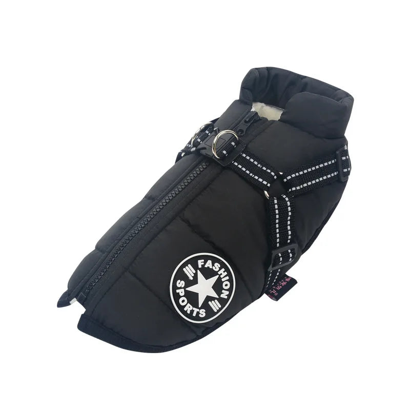 BowLift | Frost protection for your pet