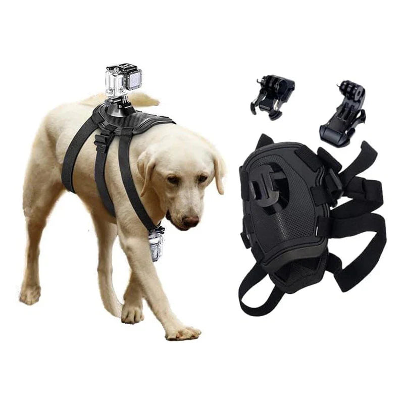 Action-Cam Dog Harness with 360° Perspective Bowlift
