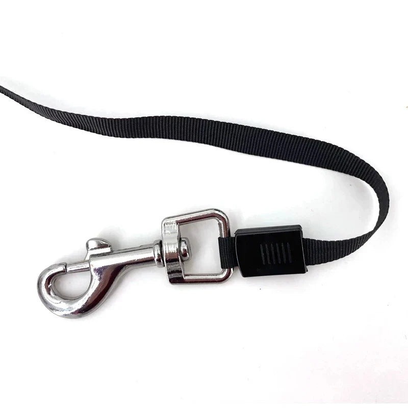 BowLift | Automatic Leash for Every Dog