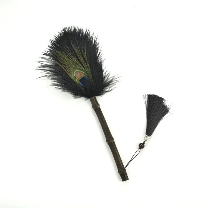 Peacock Feather Anti-Static Dusting Brush | Bowlift
