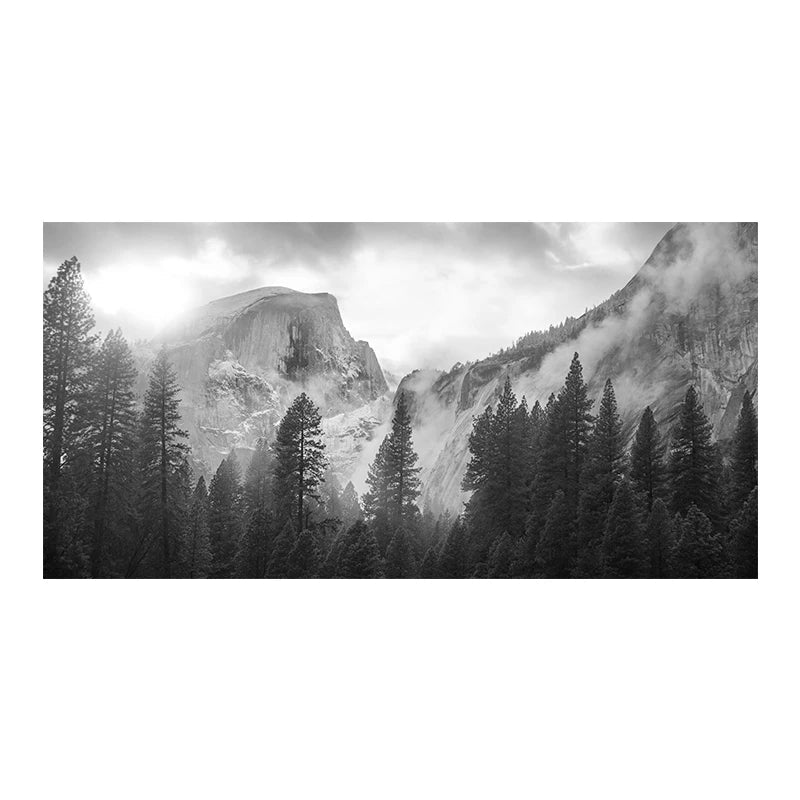 Northern Landscapes Forest Mountain Wilderness Wall Art Fine Art Canvas Prints Black White Posters For Living Room Modern Home Office Decor | Bowlift