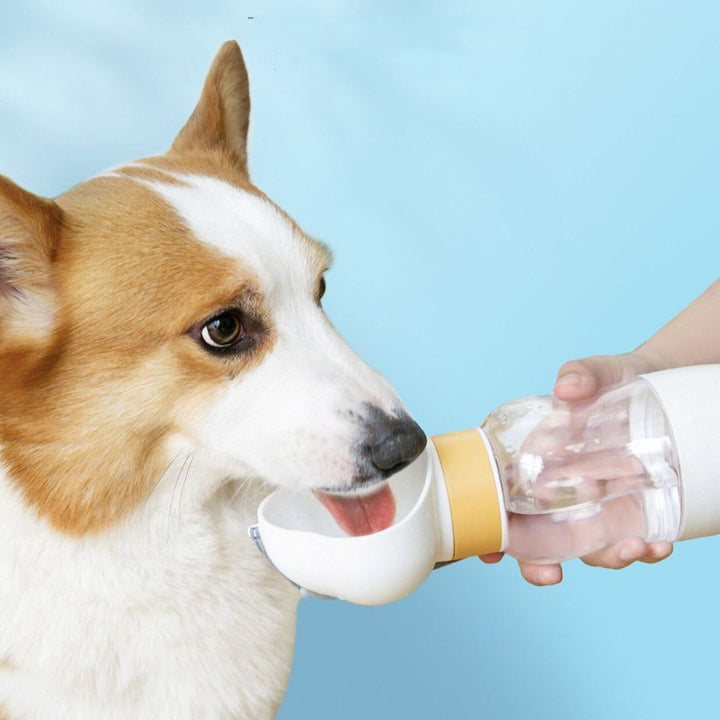 BowLift | 2in1 Smart Pet Portable Water Bottle Feeder