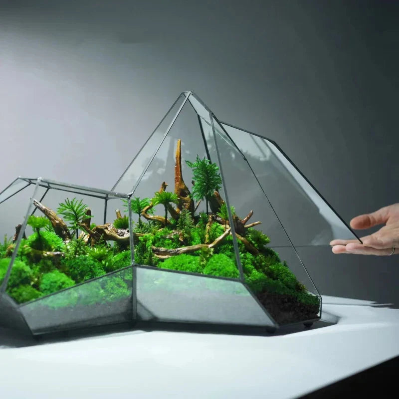 Geometric Glass Moss Planter Terrarium Vase | Bowlift