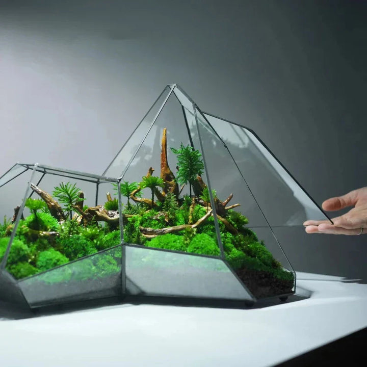Geometric Glass Moss Planter Terrarium Vase | Bowlift