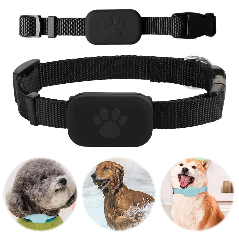 BowLift | Intelligent GPS Pet Tracker with Adjustable Collar for Dogs and Cats