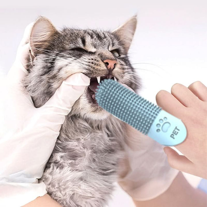 BowLift | 360° Finger Toothbrush for Dogs & Cats