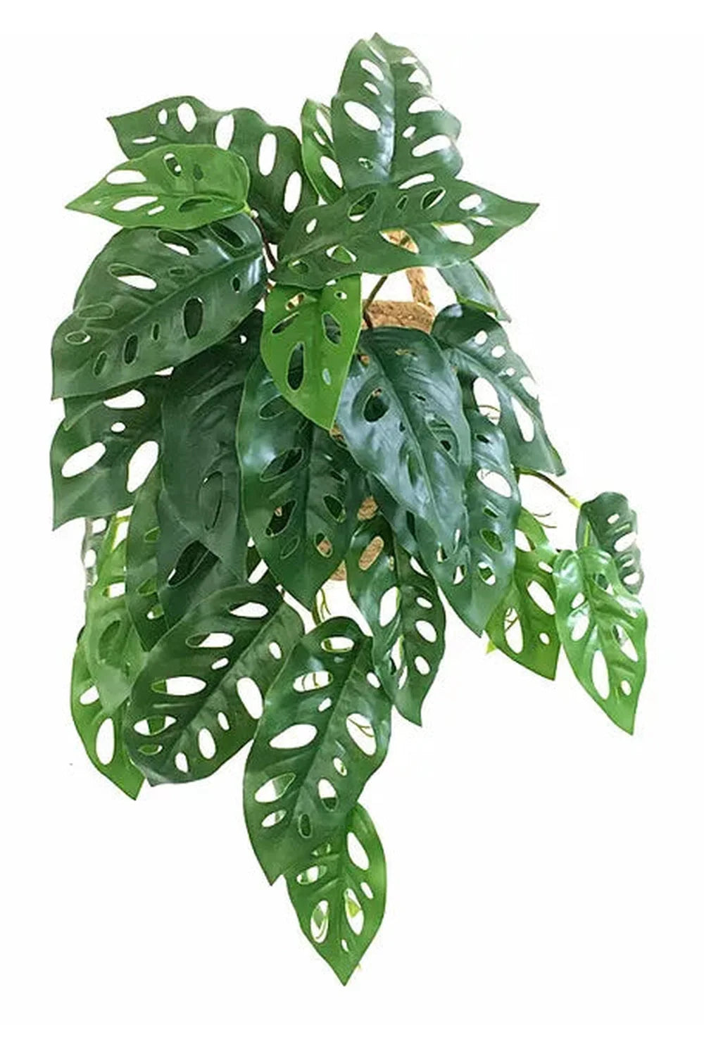 Green Artificial Plants | Bowlift