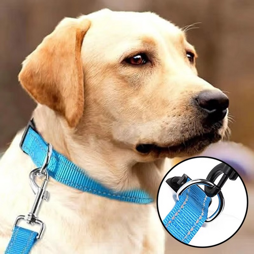 BowLift | Reflective Comfort Collar for Dogs – Soft, Adjustable, and Breathable
