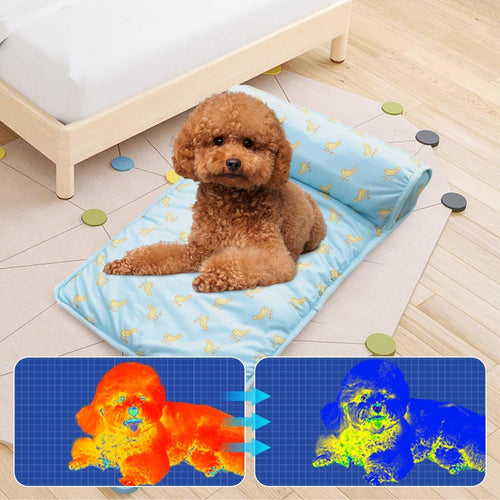Self Cooling Summer Pet Bed | Bowlift