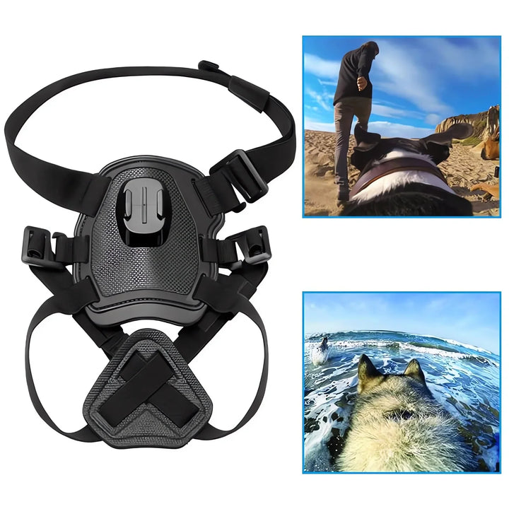 Action-Cam Dog Harness with 360° Perspective Bowlift
