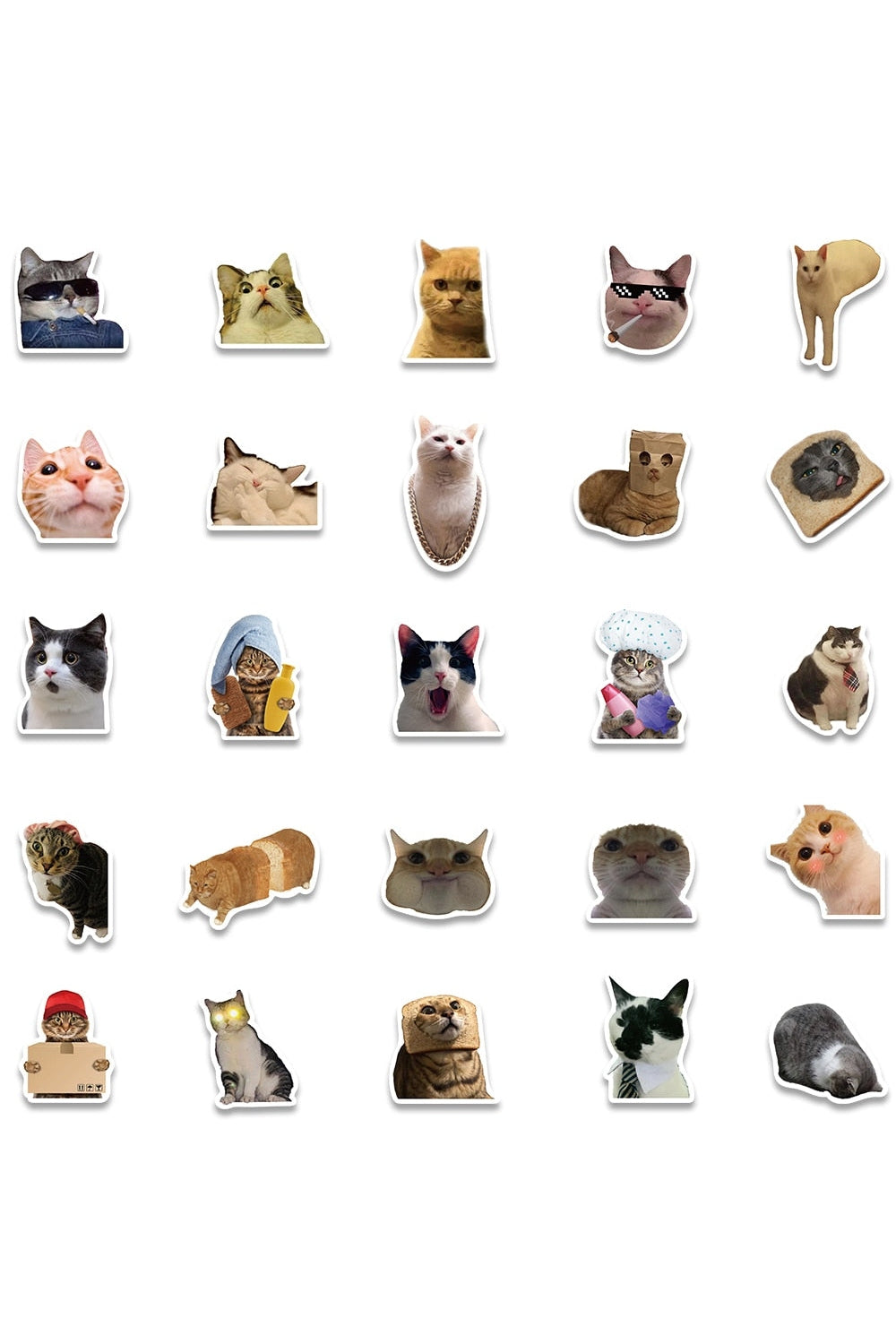 Cat Meme Funny Stickers 10/30/50/100 Pieces | Bowlift