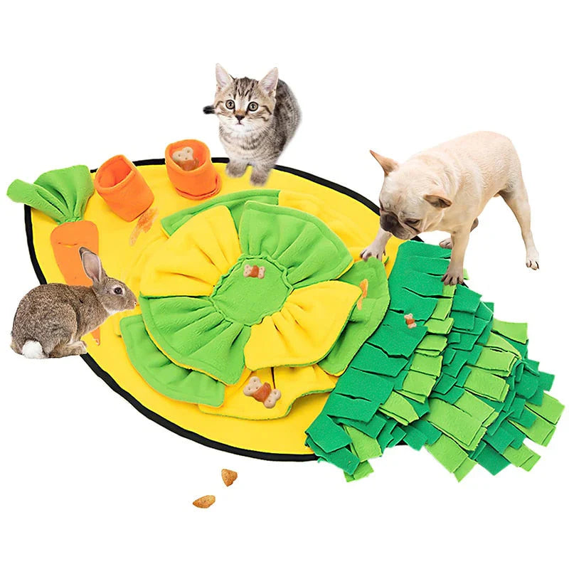 ScentQuest Interactive Sniffing Mat – SniffMaster Bowlift