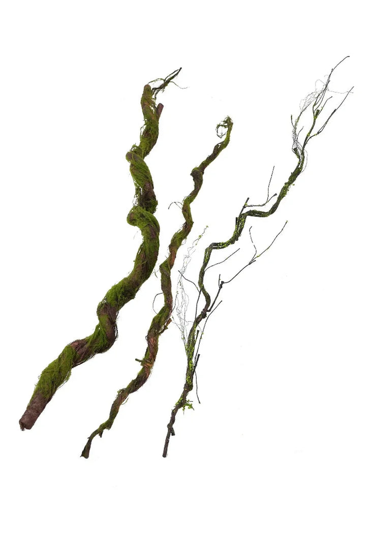 Artificial plants | Bowlift