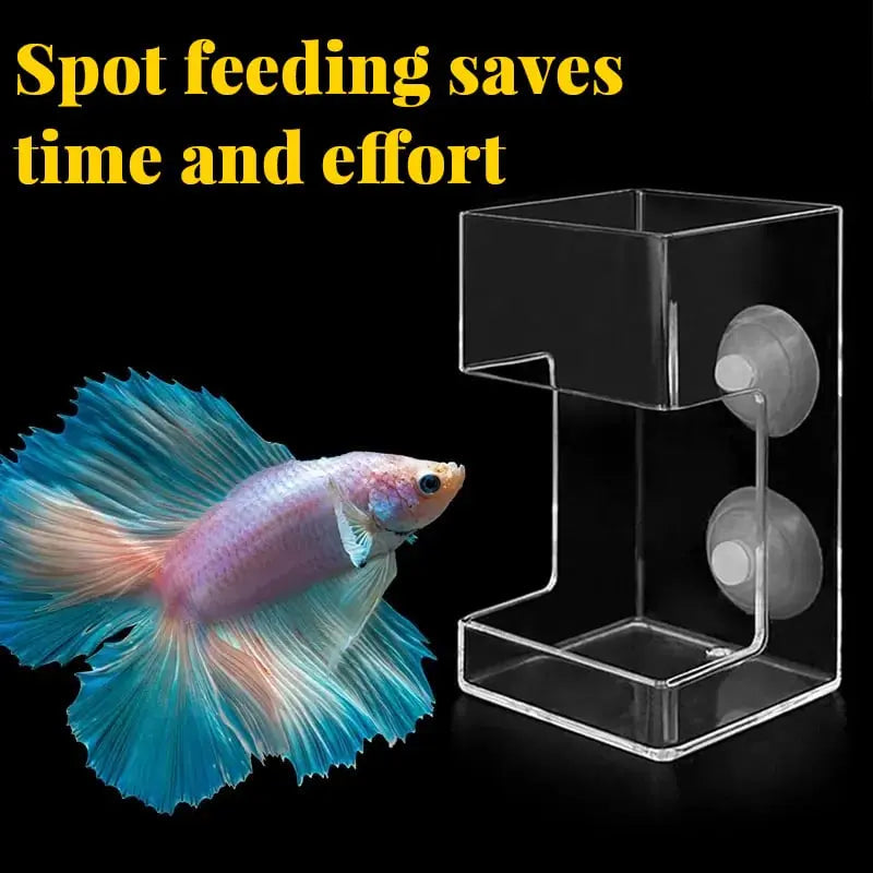 BowLift | Clean Aquarium Feeder - Buy 1, Get 1 Free!